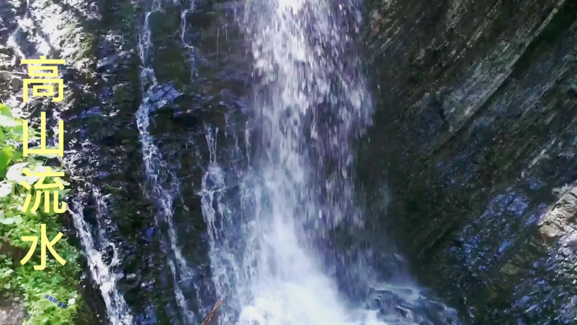 缤纷水果茶